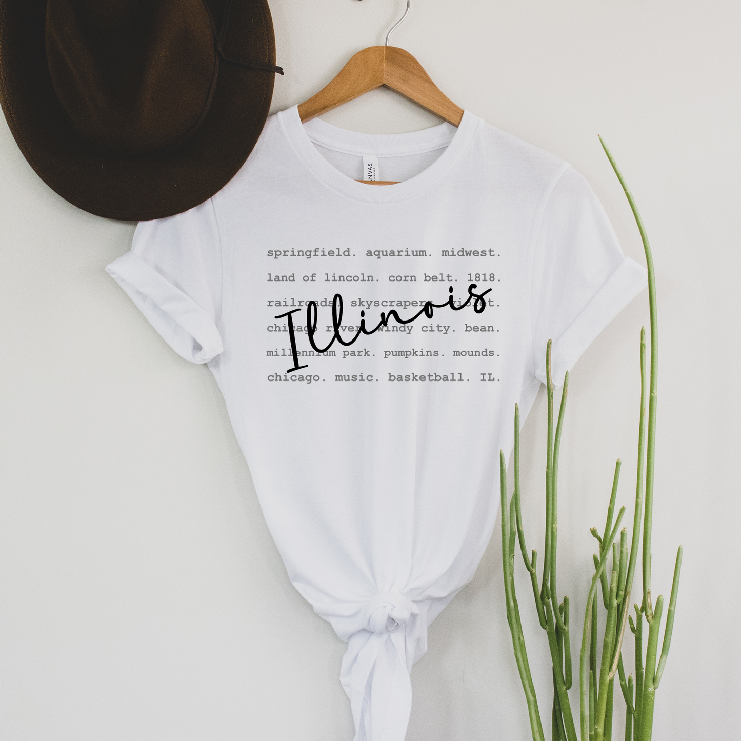 Illinois Typography