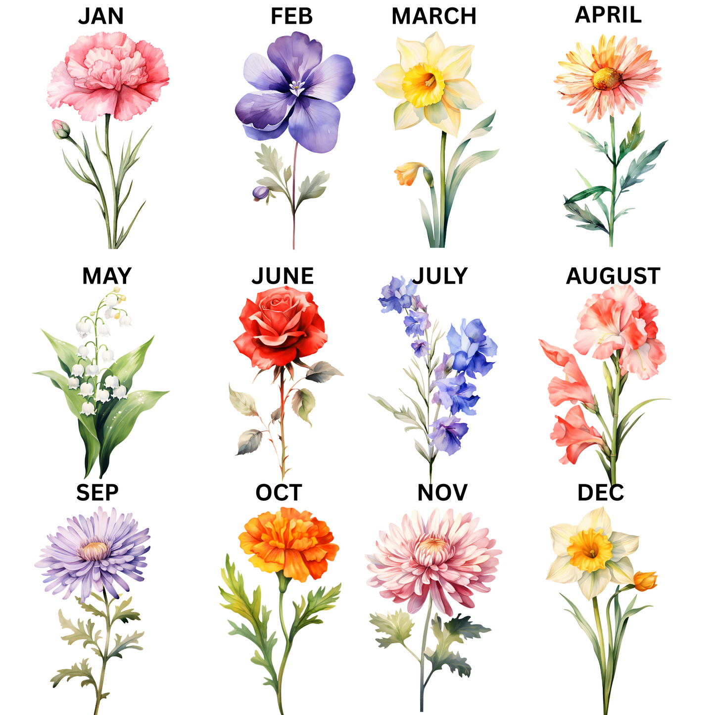 Custom Birth month flowers