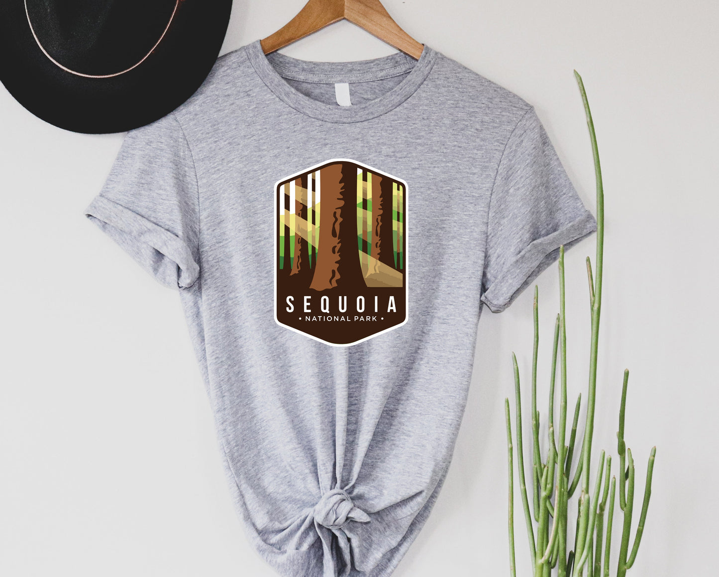 Sequoia