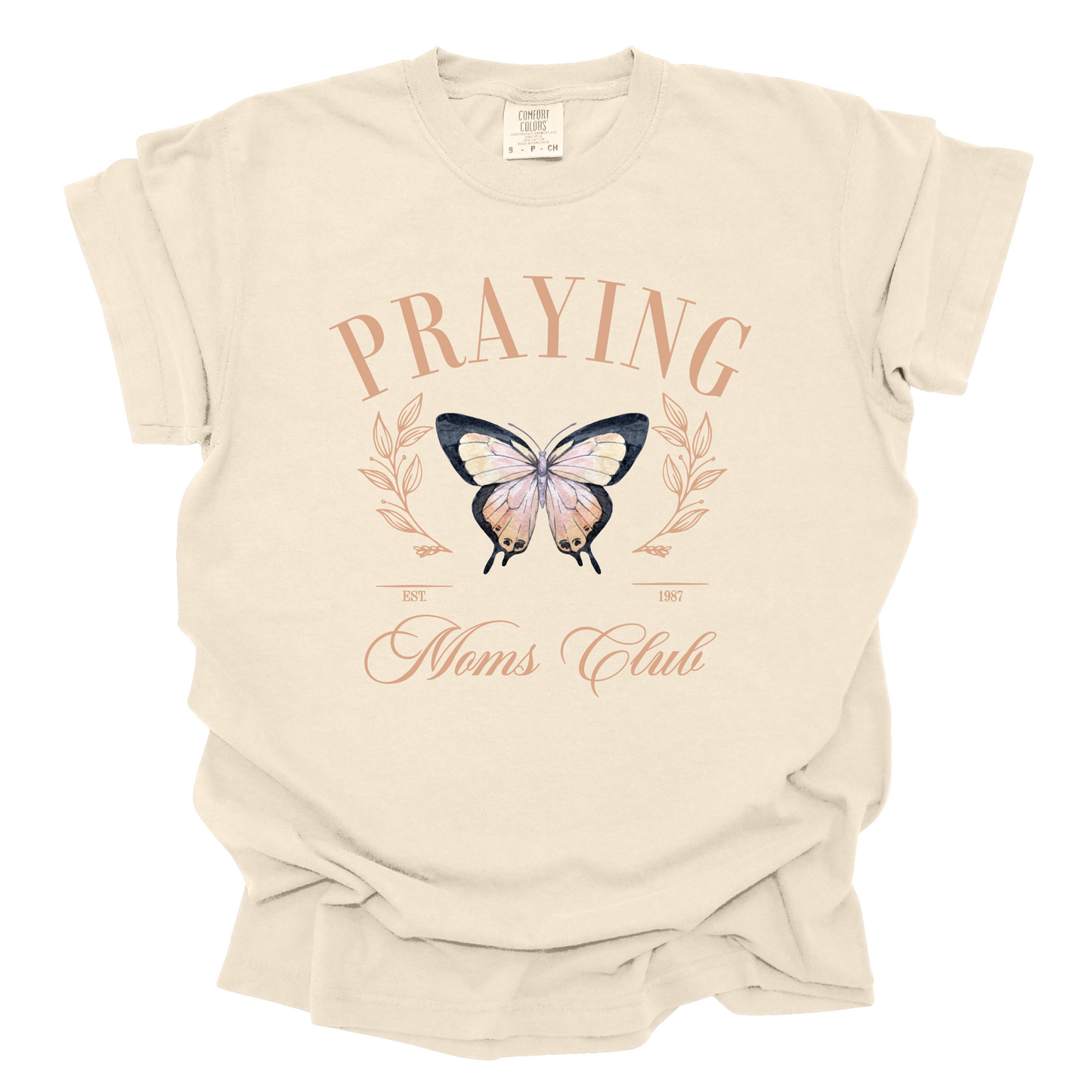 Praying Moms Club