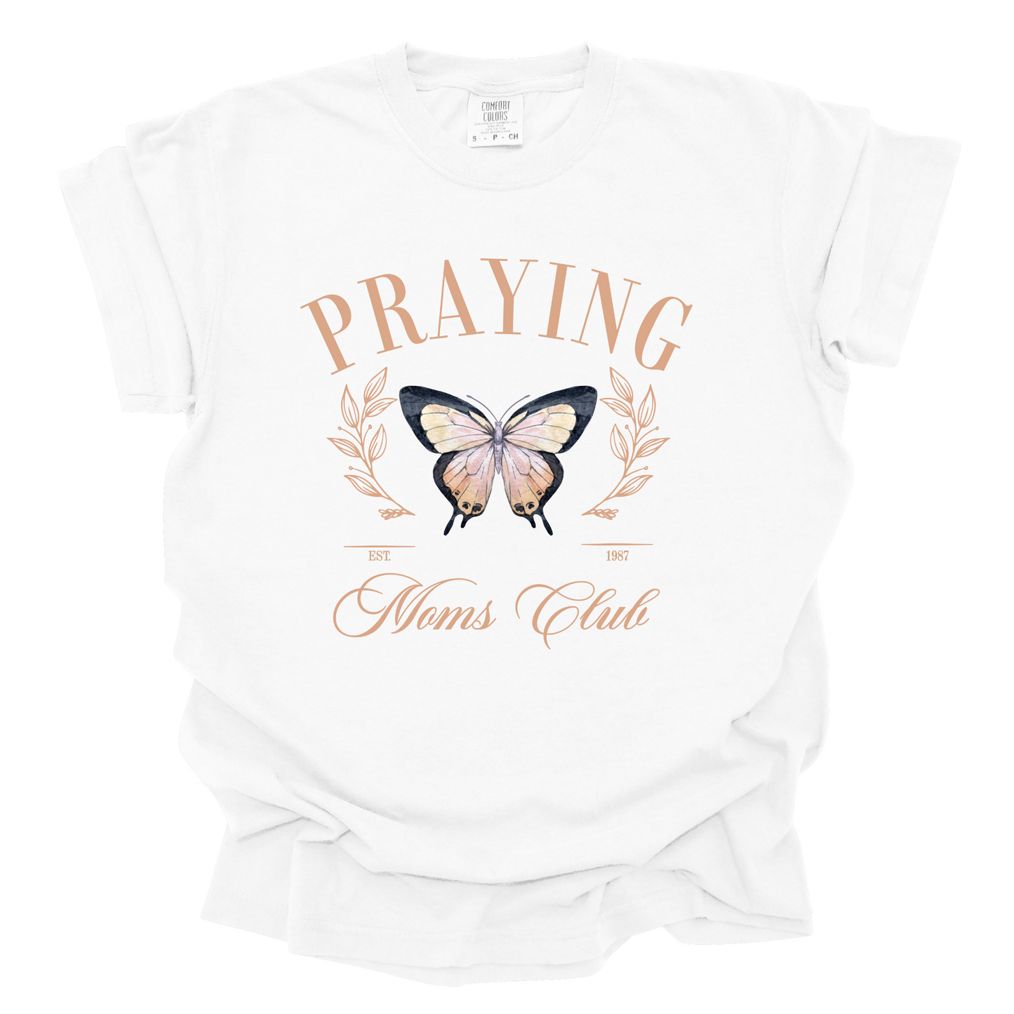 Praying Moms Club