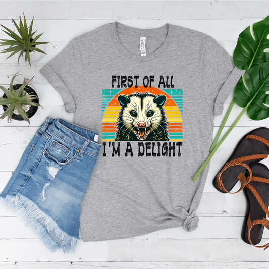 Wholesale I'm a delight Graphic Tee - Grey Tee