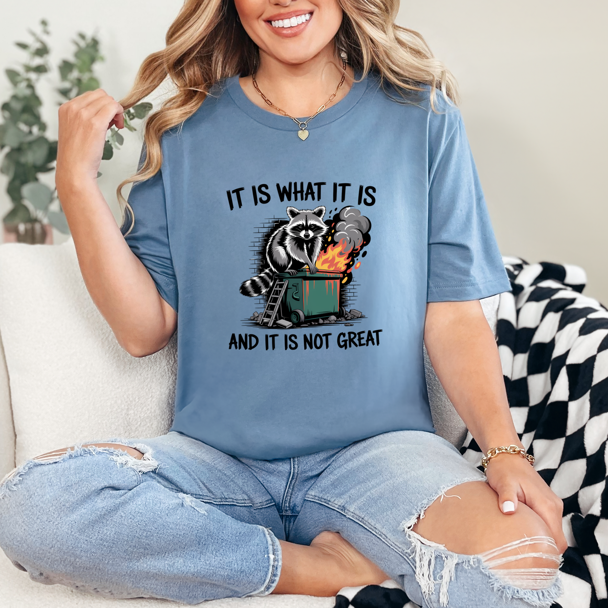Wholesale It Is What It Is Raccoon Graphic Tee - Steel Blue Tee
