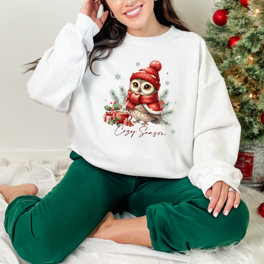 Cozy Owl Sweatshirt