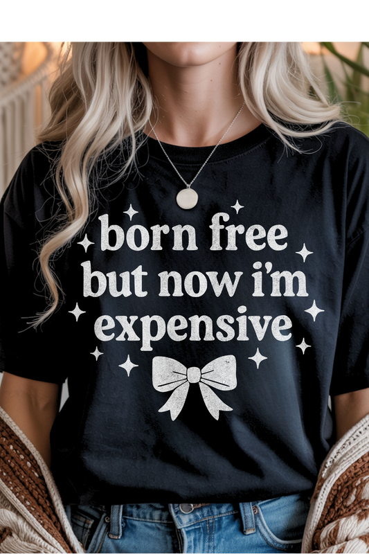 Wholesale Black & Teal - Born, Free, Now Expensive #1 - Black Gildan Tee