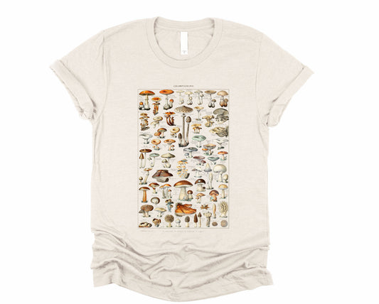 Wholesale Champignons Graphic Tee - White