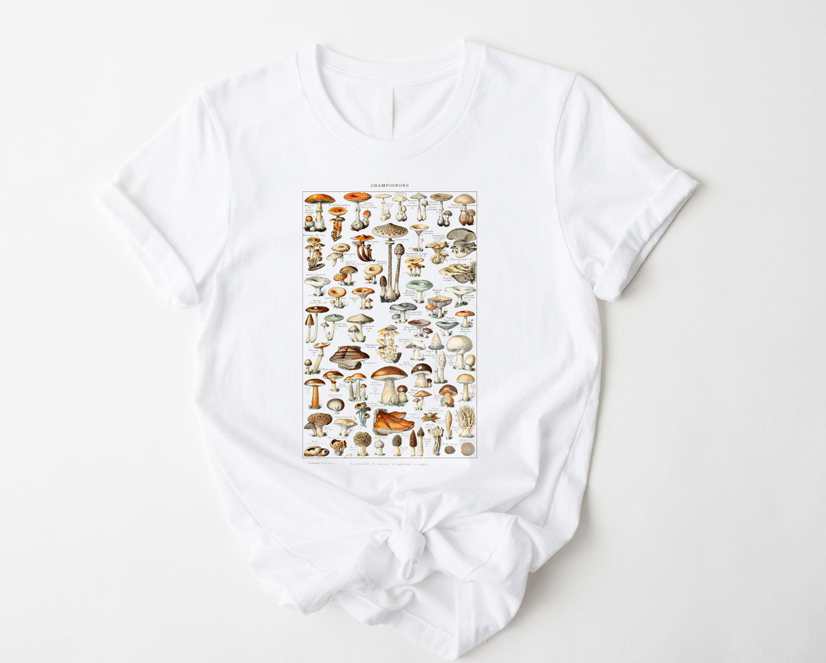 Wholesale Champignons Graphic Tee - Sand