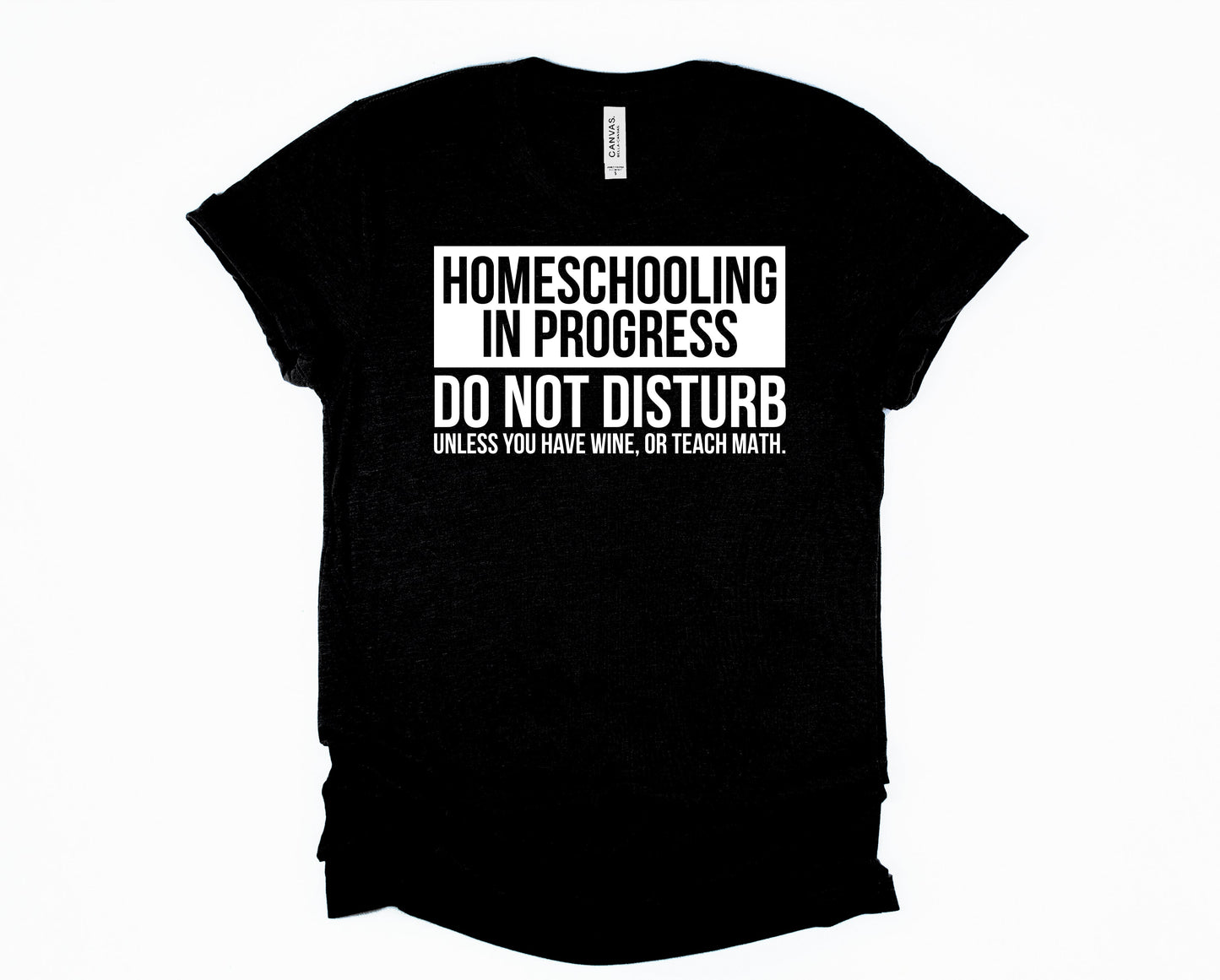 Homeschooling in Progress