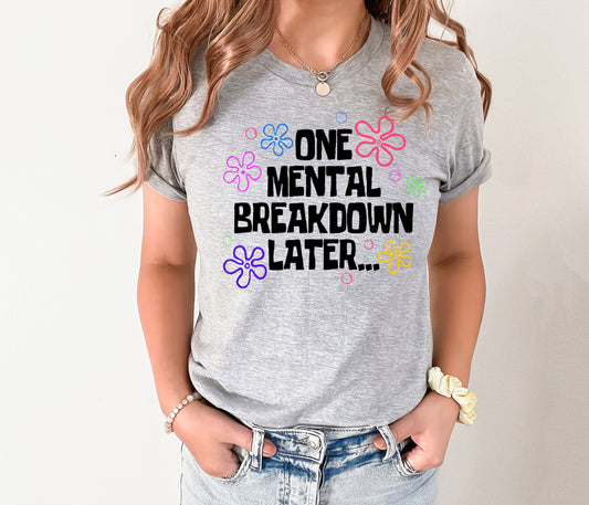 One Mental Breakdown Later