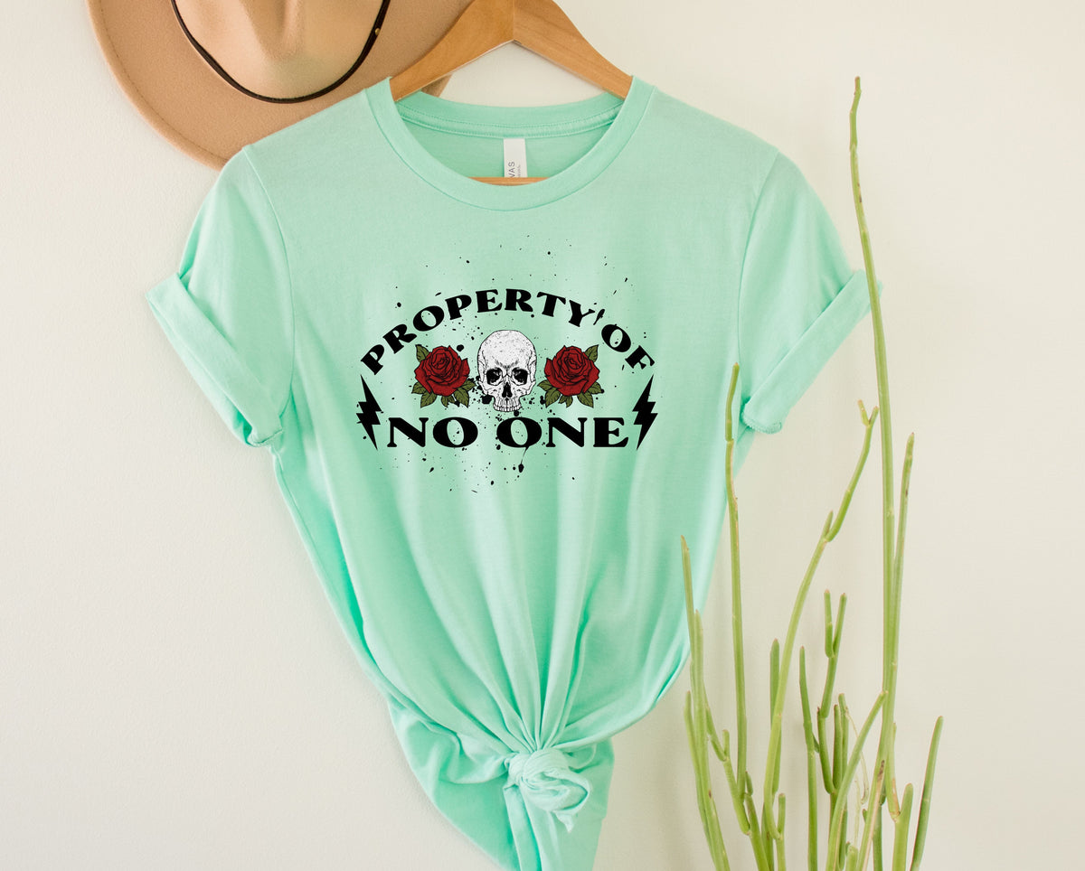 Wholesale Property of No One Graphic Tee - Mint