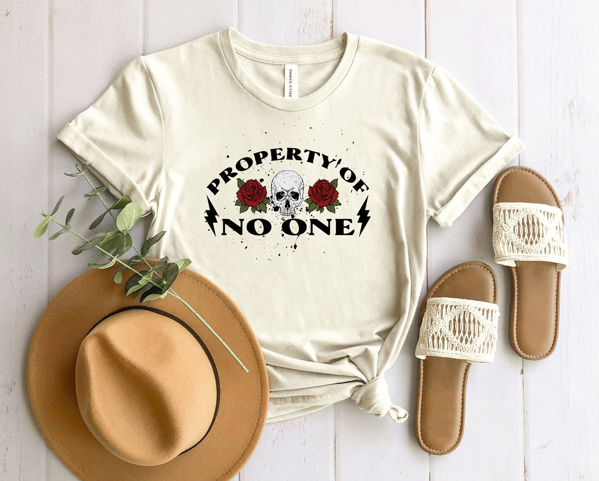 Wholesale Property of No One Graphic Tee - Heather Sand