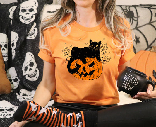Pumpkin Cat