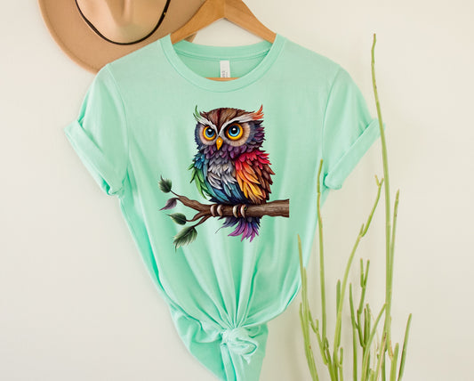 Rainbow Owl